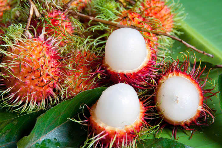 Chôm chôm thường