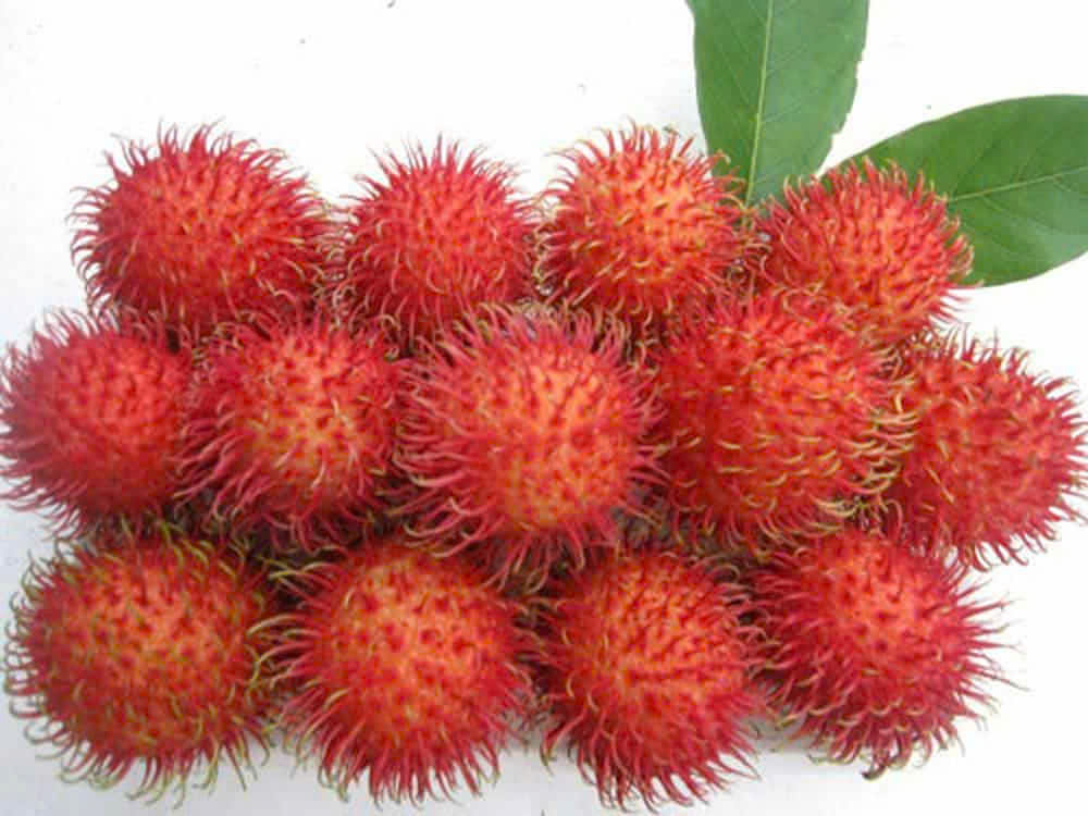 Chôm chôm thường giàu dinh dưỡng