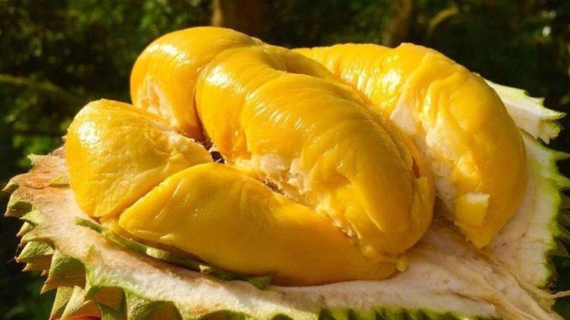 cơm sầu riêng Ri6