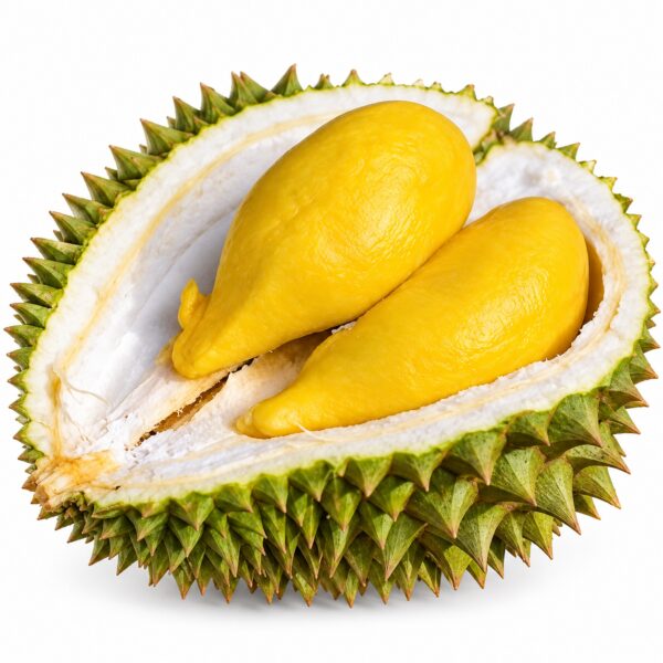 Thùng sầu riêng Ri6 thơm ngọt chuẩn vị Lidoday – Trái đều hộc, vỏ mỏng cơm dày, đóng thùng kỹ lưỡng