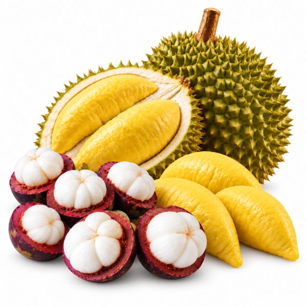 Combo thùng măng cụt chín 8KG + Tặng thêm 1 trái sầu riêng Ri6 3KG – Lidoday